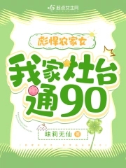 彪悍农家女：我家灶台通90